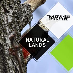 Natural Lands - Thankfulness For Nature