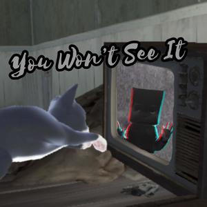 You Won't See It (Explicit)