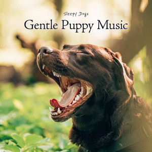 Gentle Puppy Music