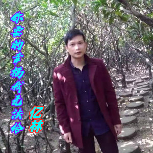 亿林 - 你要的幸福我无法给