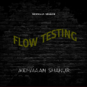 Flow Testing