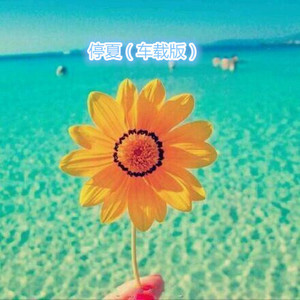 请允许我成为你的夏季 (车载版)