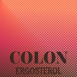 Colon Ergosterol