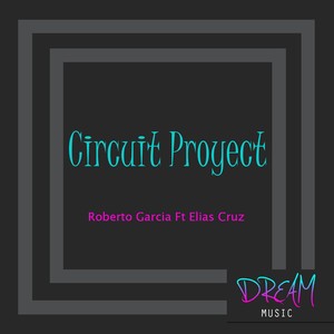 Circuit Proyect