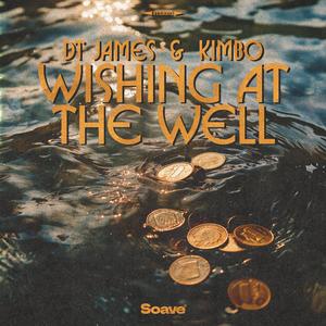 Wishing At The Well