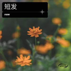 把耳朵叫醒