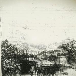 Michael Steele - Bone Paintings