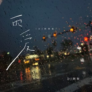 雨爱 (DJ阿智版)