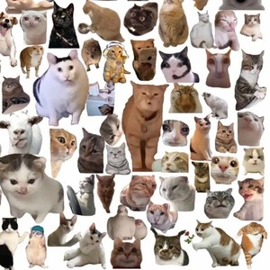 疯狂基米城（一只哈基米）