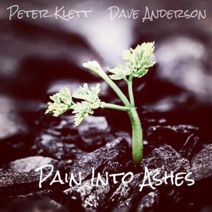 Pain Into Ashes (feat. Dave Anderson Project)