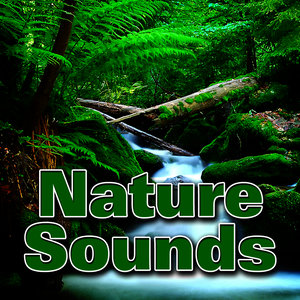 Nature Sounds