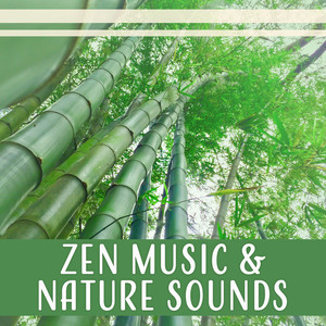 Zen Music & Nature Sounds - 50 Yoga Meditation Tracks for Stress Relief, Yoga and Sleep, Relaxation Music Therapy and Healing