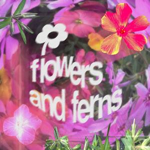 flowers and ferns