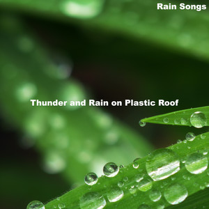 Thunder and Rain on Plastic Roof