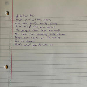 Colin Flaherty - A Dollar Poor