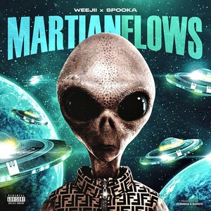 Martian Flows (Explicit)