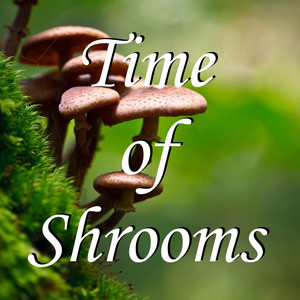 Time of Shrooms