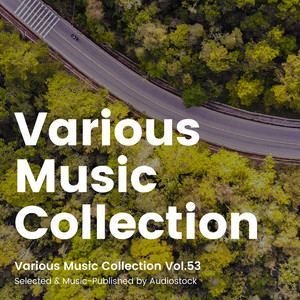 Various Music Collection Vol.53 -Selected & Music-Published by Audiostock-