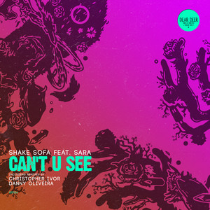 Can't U See (Original Mix)