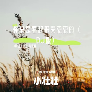 你总是看起来雾蒙蒙的 (DJ版)