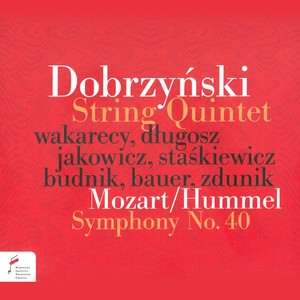 Wolfgang Amadeus Mozart & Johann Nepomuk Hummel: Symphony No.40 In G Minor - I. Molto Allegro (Original Mix)