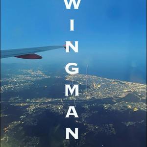 Wingman (feat. David Taro)