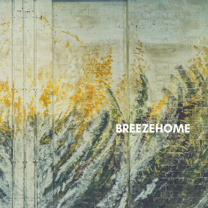 Breezehome (Live)