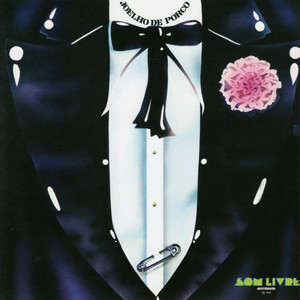 Joelho De Porco - Boeing 723897