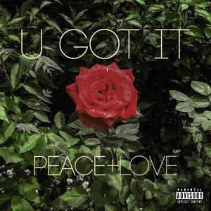 U Got It (Explicit)