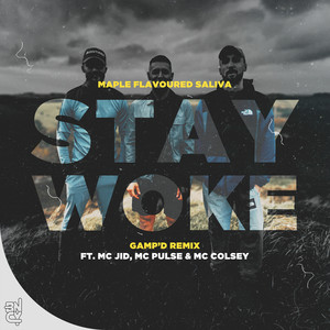 Stay Woke (Gamp'd Remix|Explicit)