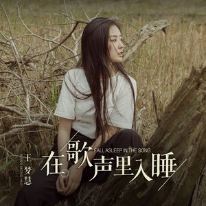 在歌声里入睡
