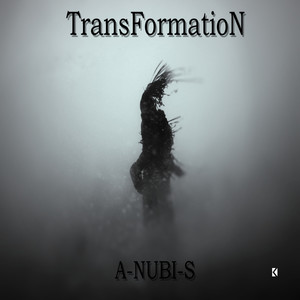 Transformation (Original Mix)