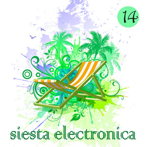 Siesta Electronica, Vol. 14