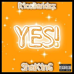 RicoBandzz X ShaKinG (Yes) [Explicit]