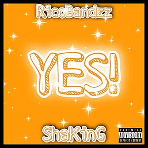 RicoBandzz X ShaKinG(Yes) (Explicit)