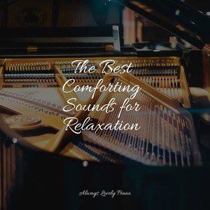 Deep Focus - Deep Sleep Mountain