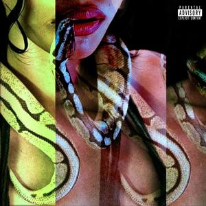 Viper (Explicit)