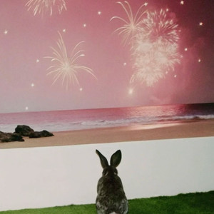 事过翻篇 人过不念一切随缘