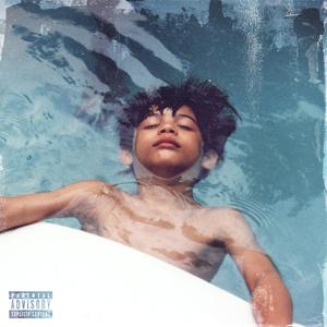 Fake Love (feat. Dominique Toney) (Explicit)
