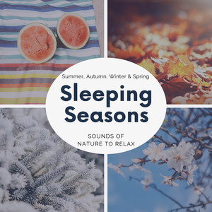 Sleeping Seasons - Summer, Autumn, Winter & Spring Sounds of Nature to Relax