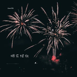 烟花绽放