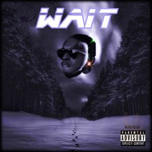 WAIT #LLPS #RIPWOO (Explicit)