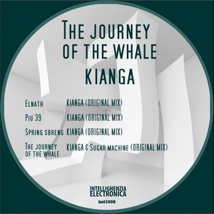 The Journey Of The Whale