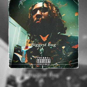 BIGGEST BUG (Explicit)