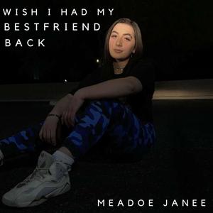 Wish I Had My Bestfriend Back (Explicit)
