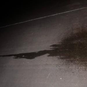 Piss On The World (Explicit)