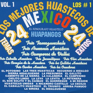 Los Mejores Huastecos De Mexico, Vol. 1