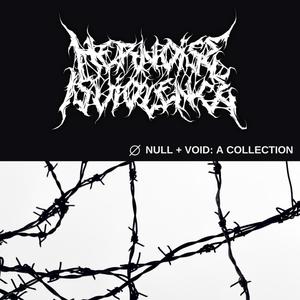 Null + Void: A Collection