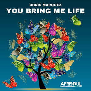 You Bring Me Life (Original Mix)