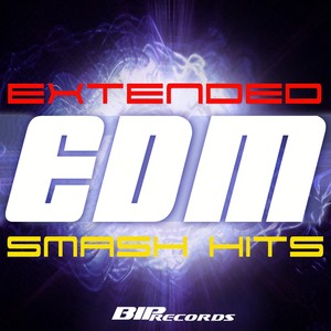 Extended EDM Smash Hits Vol.1